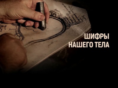Шифры нашего тела