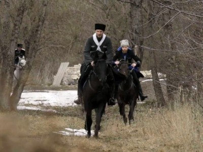 Казаки