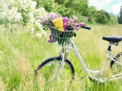 Весенние квадраты