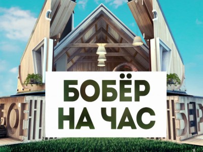 Бобёр на час