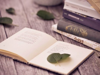 Литературный квартал