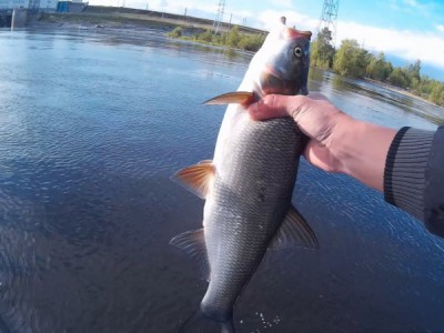 Рыбалка в низовьях Волги весной