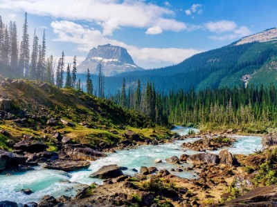 Дикая Британская Колумбия