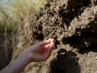 Наши корни — наше будущее