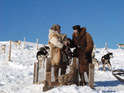 Солдаты на собачьих упряжках