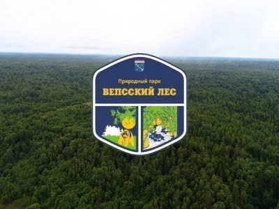 Природный парк Вепсский лес