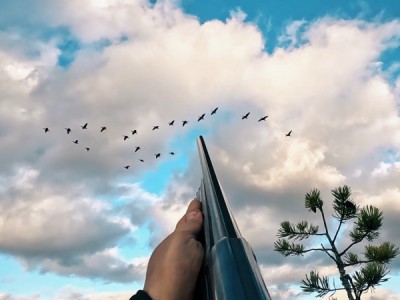 Охота с Евгением Шеляпиным на гуся в Карелии