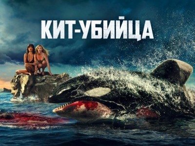 Кит-убийца