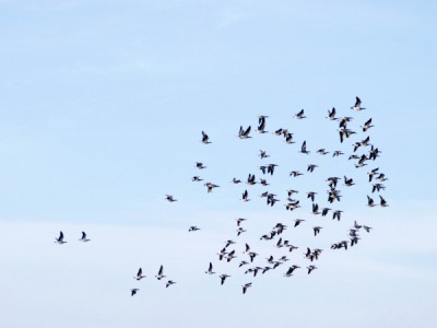 Количество имеет значение