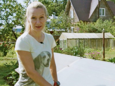 Тепличные истории