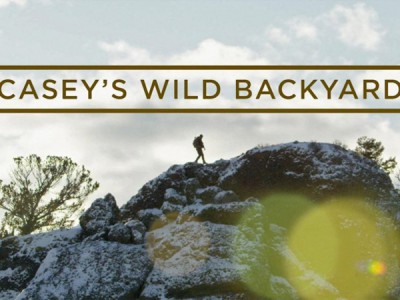 По следам диких животных с Кейси Андерсоном