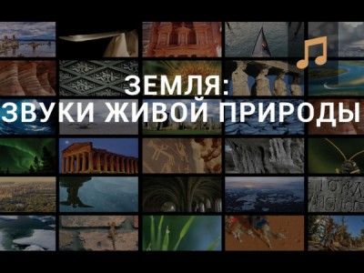 Земля: звуки живой природы