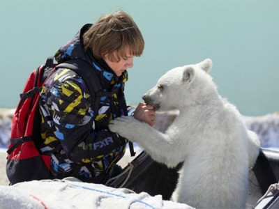 Полуночное солнце