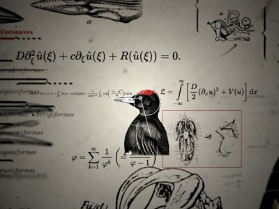 Доктор дятел