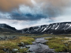 Моя душа — в тундре