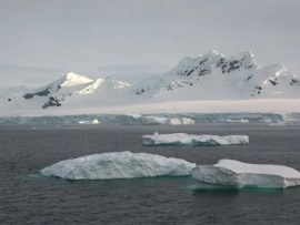В ледяных просторах