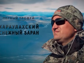 Первый трофей. Хараулахский снежный баран