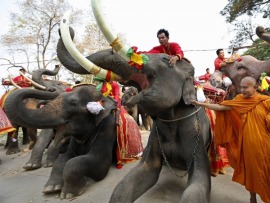 Священные животные Бенина