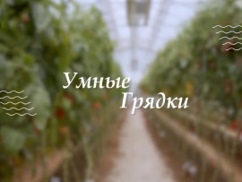 Умные грядки