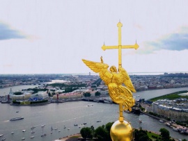 Повара на колесах (2)