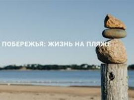 Побережья: жизнь на пляже (2)