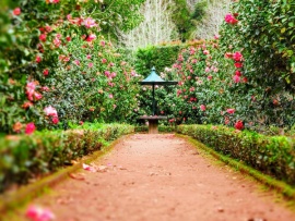 Сад и огород