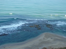 Средиземное море: возрождение