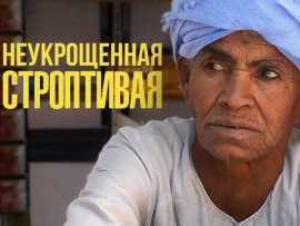 Неукрощенная строптивая