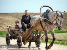 Петрович (6)