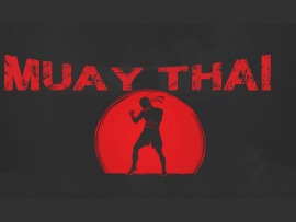 Тайский бокс. Muay Thai Night