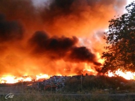 Раны земли Феликс