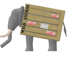 Особая доставка