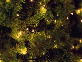 Рождество в Угодичах