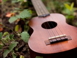 Оркестр Covent Garden Sinfonietta