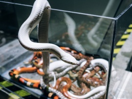 Полный блэкаут. На светлой стороне (5)