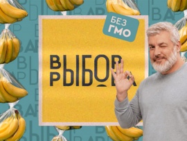 Выбор Рыбова