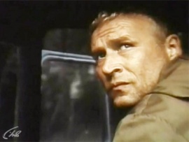 Чёрный аист