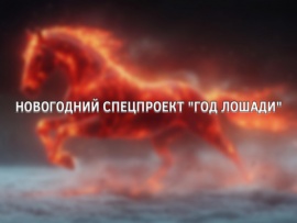 Новогодний спецпроект Год лошади