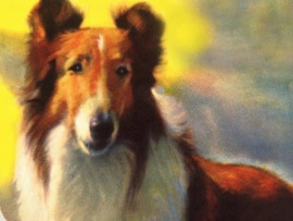 Лесси — в разрисованных холмах