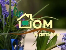 Дом в деталях