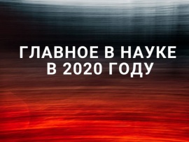 Главное в науке в 2020 году