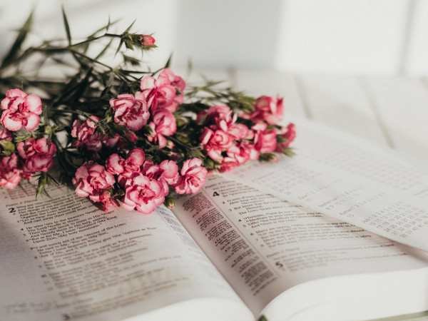 Идем в поход (2)