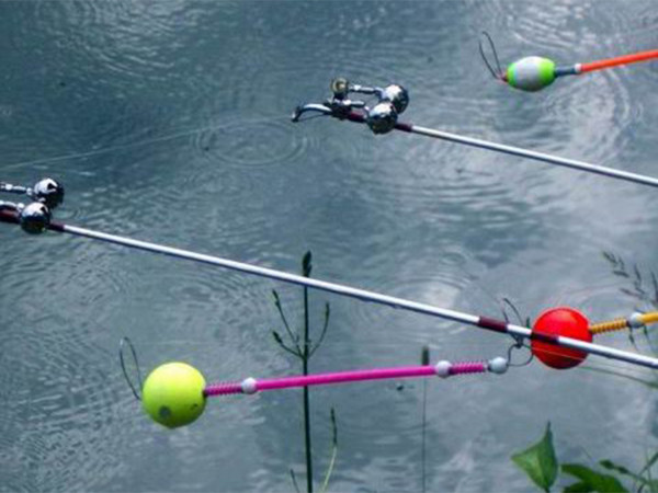 Настоящий фидер