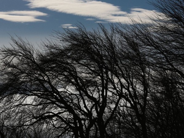 Против ветра