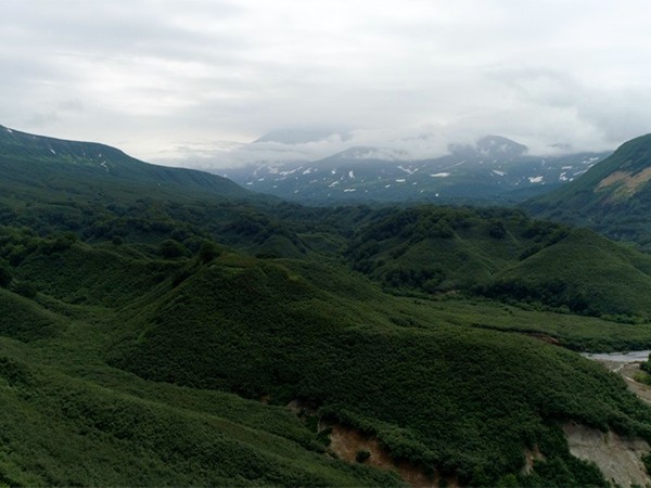 Медведи Камчатки. Начало жизни