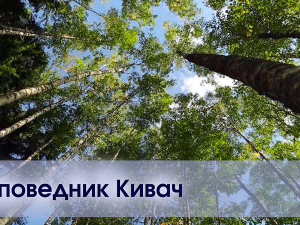 Природа России. Заповедник Кивач