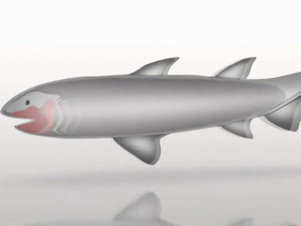 Эволюция. Битва за жизнь