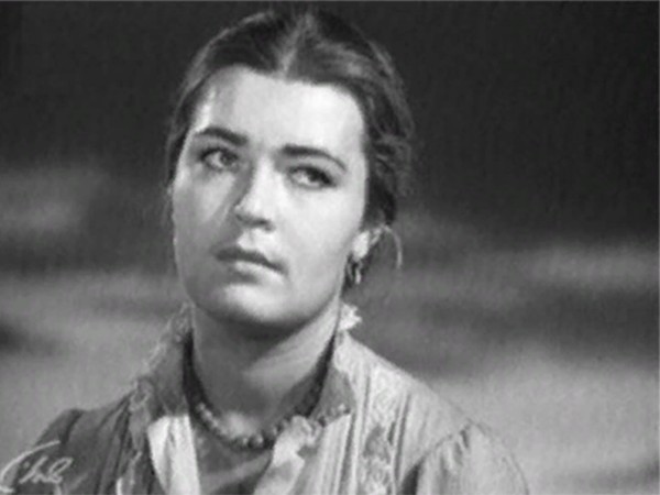 Донская повесть