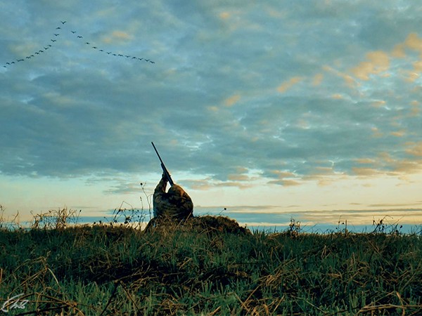 Охота по перу