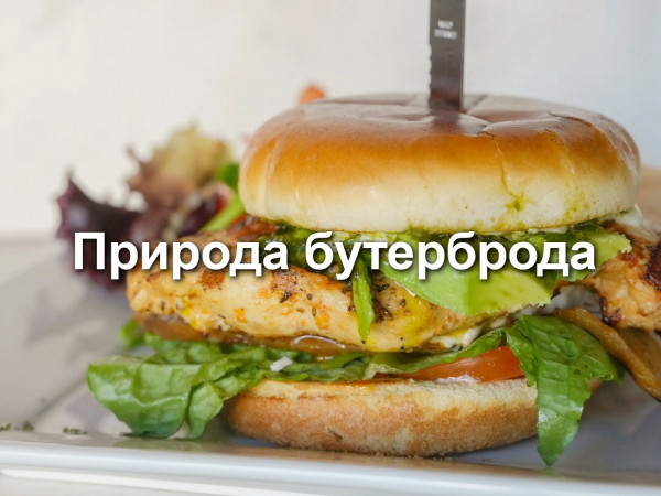 Природа бутерброда (2)